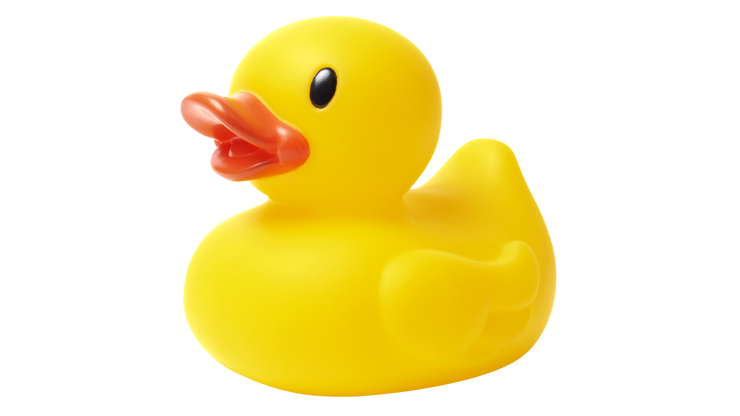 rubber duck