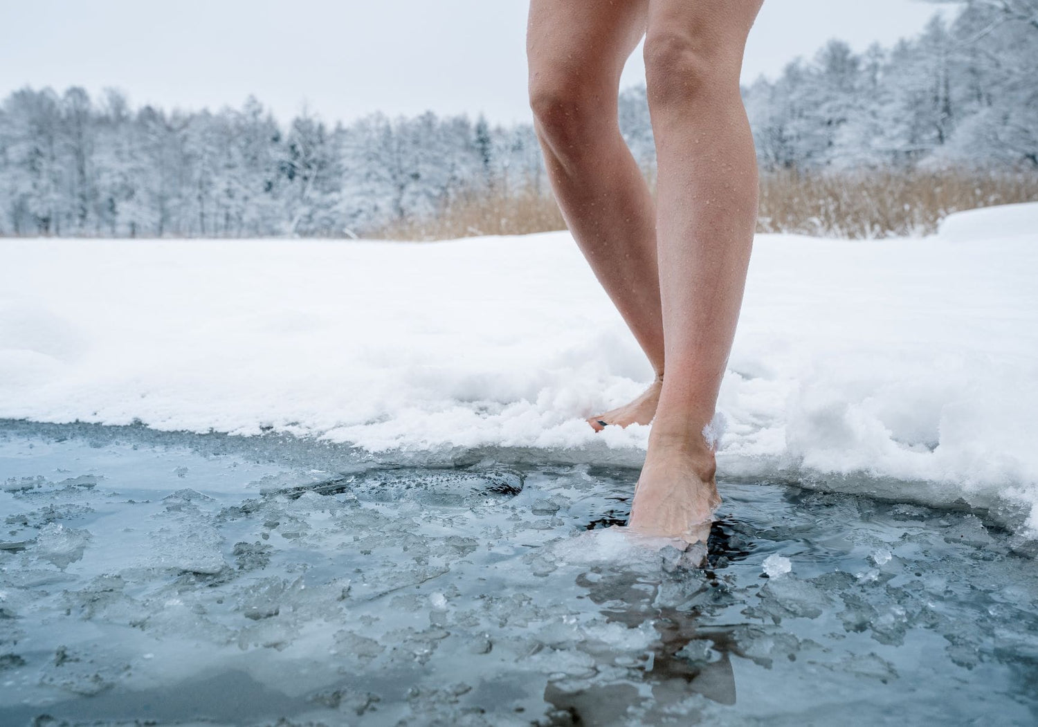 It's Time to Experience the Benefits of Cold Plunge Therapy